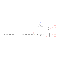 ChemSpider 2D Image | Erucoyl-coa | C43H76N7O17P3S