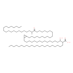 ChemSpider 2D Image | 2-{1-Hydroxy-15-[2-(19-methyl-18-oxooctatriacontyl)cyclopropyl]pentadecyl}tetracosanoic acid | C81H158O4