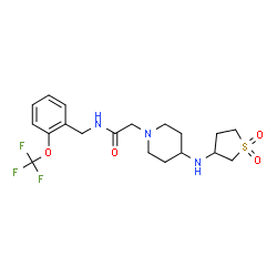 ChemSpider 2D Image | 2-{4-[(1,1-Dioxidotetrahydro-3-thiophenyl)amino]-1-piperidinyl}-N-[2-(trifluoromethoxy)benzyl]acetamide | C19H26F3N3O4S