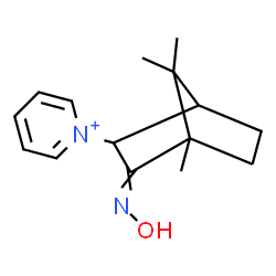 ChemSpider 2D Image | 1-[3-(Hydroxyimino)-4,7,7-trimethylbicyclo[2.2.1]hept-2-yl]pyridinium | C15H21N2O