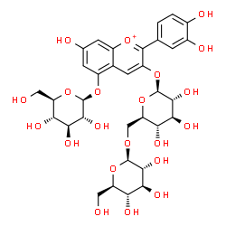 ChemSpider 2D Image | 2-(3,4-Dihydroxyphenyl)-3-{[6-O-(beta-D-glucopyranosyl)-beta-D-glucopyranosyl]oxy}-7-hydroxy-5-chromeniumyl beta-D-glucopyranoside | C33H41O21