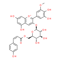 ChemSpider 2D Image | 2-(3,4-Dihydroxy-5-methoxyphenyl)-5,7-dihydroxy-3-chromeniumyl 6-O-[(2Z)-3-(4-hydroxyphenyl)-2-propenoyl]-beta-D-glucopyranoside | C31H29O14