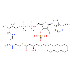 ChemSpider 2D Image | (R)-3-hydroxyicosanoyl-CoA | C41H74N7O18P3S