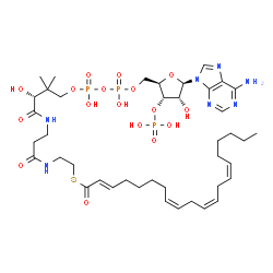 ChemSpider 2D Image | S-{(9R)-1-[(2R,3S,4R,5R)-5-(6-Amino-9H-purin-9-yl)-4-hydroxy-3-(phosphonooxy)tetrahydro-2-furanyl]-3,5,9-trihydroxy-8,8-dimethyl-3,5-dioxido-10,14-dioxo-2,4,6-trioxa-11,15-diaza-3lambda~5~,5lambda~5~-
diphosphaheptadecan-17-yl} (2E,8Z,11Z,14Z)-2,8,11,14-icosatetraenethioate | C41H66N7O17P3S