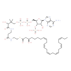 ChemSpider 2D Image | S-{(9R)-1-[(2R,3S,4R,5R)-5-(6-Amino-9H-purin-9-yl)-4-hydroxy-3-(phosphonooxy)tetrahydro-2-furanyl]-3,5,9-trihydroxy-8,8-dimethyl-3,5-dioxido-10,14-dioxo-2,4,6-trioxa-11,15-diaza-3lambda~5~,5lambda~5~-
diphosphaheptadecan-17-yl} (3R,8Z,11Z,14Z,17Z,20Z,23Z)-3-hydroxy-8,11,14,17,20,23-hexacosahexaenethioate | C47H74N7O18P3S