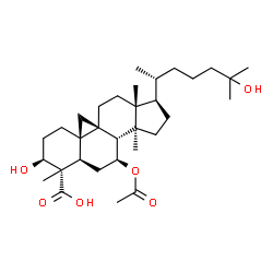 ChemSpider 2D Image | combretic acid A | C32H52O6