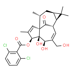ChemSpider 2D Image | (1S,4S,5S,6R,9S,10R,12R,14R)-5,6-Dihydroxy-7-(hydroxymethyl)-3,11,11,14-tetramethyl-15-oxotetracyclo[7.5.1.0~1,5~.0~10,12~]pentadeca-2,7-dien-4-yl 2,6-dichlorobenzoate | C27H30Cl2O6