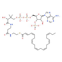 ChemSpider 2D Image | Adenosine, 5'-O-[hydroxy[[hydroxy[(3R)-3-hydroxy-2,2-dimethyl-4-oxo-4-[[3-oxo-3-[[2-[[(2E,4Z,7Z,10Z,13Z,16Z,19Z)-1-oxo-2,4,7,10,13,16,19-docosaheptaen-1-yl]thio]ethyl]amino]propyl]amino]butoxy]phosphi
nyl]oxy]phosphinyl]-, 3'-(dihydrogen phosphate), ion(4-) | C43H60N7O17P3S