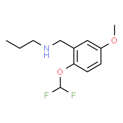 ChemSpider 2D Image | N-[2-(Difluoromethoxy)-5-methoxybenzyl]-1-propanamine | C12H17F2NO2