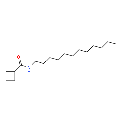 ChemSpider 2D Image | N-Dodecylcyclobutanecarboxamide | C17H33NO
