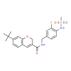 ChemSpider 2D Image | TERT-BUTYLCHROMENAMIDO FLUOROBENZYL METHANESULFONAMIDE | C22H25FN2O4S