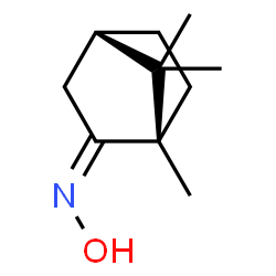 ChemSpider 2D Image | (1S,2Z,4S)-N-Hydroxy-1,7,7-trimethylbicyclo[2.2.1]heptan-2-imine | C10H17NO