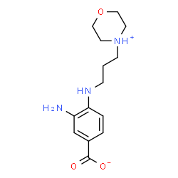 ChemSpider 2D Image | 3-Amino-4-{[3-(morpholin-4-ium-4-yl)propyl]amino}benzoate | C14H21N3O3