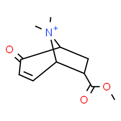 ChemSpider 2D Image | 7-(Methoxycarbonyl)-8,8-dimethyl-4-oxo-8-azoniabicyclo[3.2.1]oct-2-ene | C11H16NO3