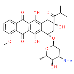 ChemSpider 2D Image | (1S,3S)-3,5,12-Trihydroxy-3-isobutyryl-10-methoxy-6,11-dioxo-1,2,3,4,6,11-hexahydro-1-tetracenyl 3-amino-2,3,6-trideoxy-alpha-L-lyxo-hexopyranoside | C29H33NO10