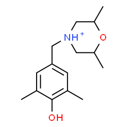 ChemSpider 2D Image | 4-(4-Hydroxy-3,5-dimethylbenzyl)-2,6-dimethylmorpholin-4-ium | C15H24NO2