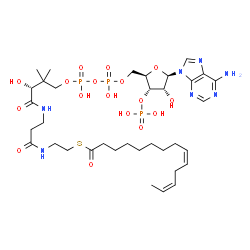 ChemSpider 2D Image | (9Z,12Z)-tetradecadienoyl-CoA | C35H58N7O17P3S
