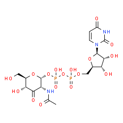 ChemSpider 2D Image | UDP-2-acetamido-2-deoxy-3-dehydro-alpha-D-glucopyranose | C17H25N3O17P2
