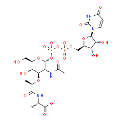 ChemSpider 2D Image | (2S)-2-{[(2R)-2-{[(2R,3R,4R,5S,6R)-3-Acetamido-2-({[({[(2R,3S,4R,5R)-5-(2,4-dioxo-3,4-dihydro-1(2H)-pyrimidinyl)-3,4-dihydroxytetrahydro-2-furanyl]methoxy}phosphinato)oxy]phosphinato}oxy)-5-hydroxy-6-
(hydroxymethyl)tetrahydro-2H-pyran-4-yl]oxy}propanoyl]amino}propanoate (non-preferred name) | C23H33N4O20P2