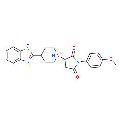 ChemSpider 2D Image | 4-(1H-Benzimidazol-2-yl)-1-[1-(4-methoxyphenyl)-2,5-dioxo-3-pyrrolidinyl]piperidinium | C23H25N4O3