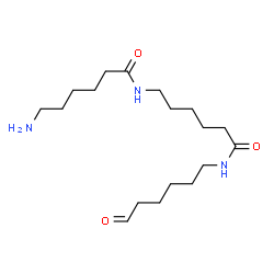 ChemSpider 2D Image | 6-amino-N-[6-keto-6-(6-ketohexylamino)hexyl]hexanamide | C18H35N3O3