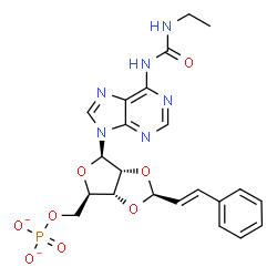 ChemSpider 2D Image | N-(Ethylcarbamoyl)-2',3'-O-[(1S,2E)-3-phenyl-2-propen-1-ylidene]-5'-O-phosphonatoadenosine | C22H23N6O8P