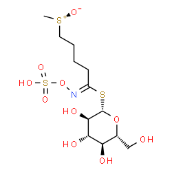 ChemSpider 2D Image | 1-S-[(1E)-5-[Methyl(oxido)sulfonio]-N-(sulfooxy)pentanimidoyl]-1-thio-beta-D-glucopyranose | C12H23NO10S3