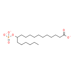 ChemSpider 2D Image | 12-(Phosphonatooxy)octadecanoate | C18H34O6P