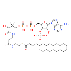 ChemSpider 2D Image | S-{(9R)-1-[(2R,3S,4R,5R)-5-(6-Amino-9H-purin-9-yl)-4-hydroxy-3-(phosphonooxy)tetrahydro-2-furanyl]-3,5,9-trihydroxy-8,8-dimethyl-3,5-dioxido-10,14-dioxo-2,4,6-trioxa-11,15-diaza-3lambda~5~,5lambda~5~-
diphosphaheptadecan-17-yl} (2E)-2-docosenethioate (non-preferred name) | C43H76N7O17P3S