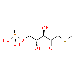 ChemSpider 2D Image | 1-(methylthio)ribulose 5-phosphate | C6H13O7PS