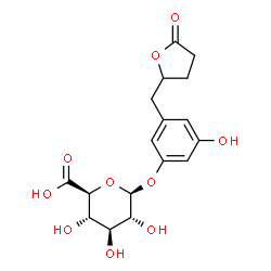 ChemSpider 2D Image | 5-(3',5'-Dihydroxyphenyl)-gamma-valerolactone 3-O-glucuronide | C17H20O10