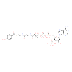 ChemSpider 2D Image | S-{(9R)-1-[(2R,3S,4R,5R)-5-(6-Amino-9H-purin-9-yl)-4-hydroxy-3-(phosphonooxy)tetrahydro-2-furanyl]-3,5,9-trihydroxy-8,8-dimethyl-3,5-dioxido-10,14-dioxo-2,4,6-trioxa-11,15-diaza-3lambda~5~,5lambda~5~-
diphosphaheptadecan-17-yl} 4-hydroxybenzenecarbothioate (non-preferred name) | C28H40N7O18P3S