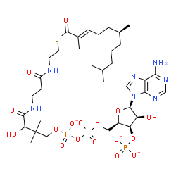 ChemSpider 2D Image | 9H-Purin-6-amine, 9-[5-O-[hydroxy[[hydroxy[3-hydroxy-2,2-dimethyl-4-oxo-4-[[3-oxo-3-[[2-[[(2E,6S)-2,6,10-trimethyl-1-oxo-2-undecen-1-yl]thio]ethyl]amino]propyl]amino]butoxy]phosphinyl]oxy]phosphinyl]-
3-O-phosphono-beta-D-lyxofuranosyl]-, ion(4-) | C35H56N7O17P3S