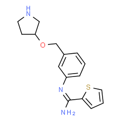 ChemSpider 2D Image | N'-(3-{[(3R)-3-Pyrrolidinyloxy]methyl}phenyl)-2-thiophenecarboximidamide | C16H19N3OS