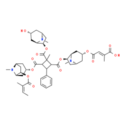 ChemSpider 2D Image | (2E)-4-{[(1S,3R,5R,6R)-6-({[2-({[(1S,3R,5R,6R)-3-Hydroxy-8-methyl-8-azabicyclo[3.2.1]oct-6-yl]oxy}carbonyl)-2-methyl-3-({[(1S,3S,5R,6R)-8-methyl-6-{[(2Z)-2-methyl-2-butenoyl]oxy}-8-azabicyclo[3.2.1]oc
t-3-yl]oxy}carbonyl)-4-phenylcyclobutyl]carbonyl}oxy)-8-methyl-8-azabicyclo[3.2.1]oct-3-yl]oxy}-2-methyl-4-oxo-2-butenoic acid | C48H63N3O13