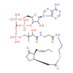ChemSpider 2D Image | (+)-7-Isojasmonic acid CoA | C33H52N7O18P3S