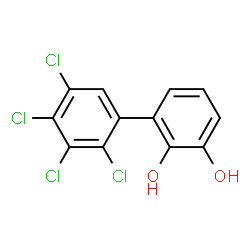 ChemSpider 2D Image | 2',3',4',5'-Tetrachloro-2,3-biphenyldiol | C12H6Cl4O2