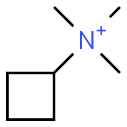 ChemSpider 2D Image | N,N,N-Trimethylcyclobutanaminium | C7H16N