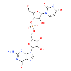 ChemSpider 2D Image | [5-(2-amino-6-oxo-3H-purin-9-yl)-3,4-dihydroxy-tetrahydrofuran-2-yl]methyl [5-(2,4-dioxopyrimidin-1-yl)-4-hydroxy-2-(hydroxymethyl)tetrahydrofuran-3-yl] hydrogen phosphate | C19H24N7O13P