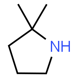 ChemSpider 2D Image | 2,2-Dimethylpyrrolidine | C6H13N