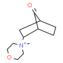 ChemSpider 2D Image | 4-Methyl-4-(7-oxobicyclo[2.2.1]hept-2-yl)morpholin-4-ium | C12H20NO2