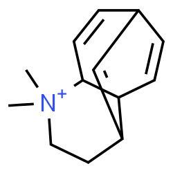 ChemSpider 2D Image | 5,5-Dimethyl-5-azoniatricyclo[6.3.1.0~4,9~]dodeca-2,8(12),10-triene | C13H18N