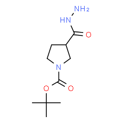 ChemSpider 2D Image | tert-butyl 3-(hydrazinecarbonyl)pyrrolidine-1-carboxylate | C10H19N3O3