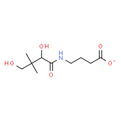 ChemSpider 2D Image | 4-[(2,4-Dihydroxy-3,3-dimethylbutanoyl)amino]butanoate | C10H18NO5