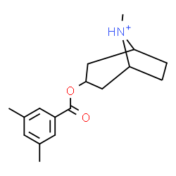 ChemSpider 2D Image | 3-[(3,5-Dimethylbenzoyl)oxy]-8-methyl-8-azoniabicyclo[3.2.1]octane | C17H24NO2