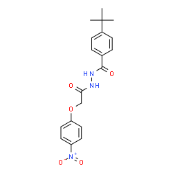 ChemSpider 2D Image | 4-(2-Methyl-2-propanyl)-N'-[(4-nitrophenoxy)acetyl]benzohydrazide | C19H21N3O5