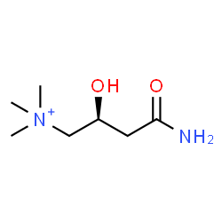 ChemSpider 2D Image | (2S)-4-Amino-2-hydroxy-N,N,N-trimethyl-4-oxo-1-butanaminium | C7H17N2O2
