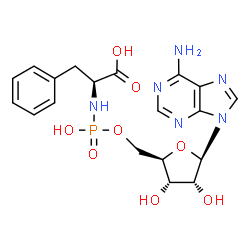 ChemSpider 2D Image | N-adenylyl-L-phenylalanine | C19H23N6O8P