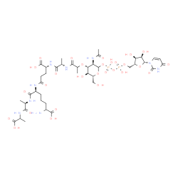ChemSpider 2D Image | (5R,8S,13R,16S)-19-{[(3R,4R,5S,6R)-3-Acetamido-2-{[{[{[(2R,3S,4R,5R)-5-(2,4-dioxo-3,4-dihydro-1(2H)-pyrimidinyl)-3,4-dihydroxytetrahydro-2-furanyl]methoxy}(hydroxy)phosphoryl]oxy}(hydroxy)phosphoryl]o
xy}-5-hydroxy-6-(hydroxymethyl)tetrahydro-2H-pyran-4-yl]oxy}-8-(4-amino-4-carboxybutyl)-13-carboxy-2,5,16-trimethyl-4,7,10,15,18-pentaoxo-3,6,9,14,17-pentaazaicosan-1-oic acid | C41H65N9O28P2