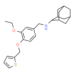 ChemSpider 2D Image | N-[3-Ethoxy-4-(2-thienylmethoxy)benzyl]-2-adamantanamine | C24H31NO2S